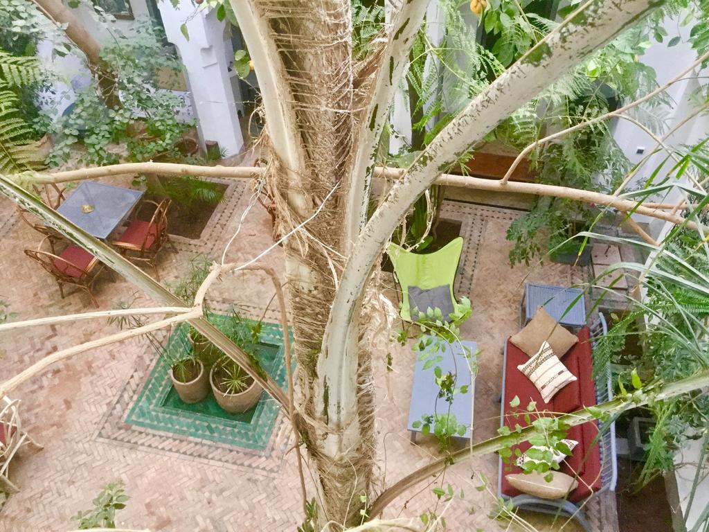 Dar Binebine Hotel Marrakesh Esterno foto