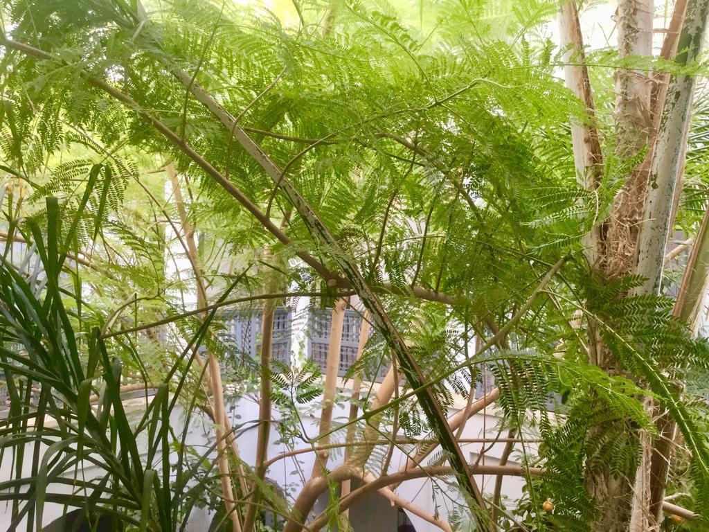 Dar Binebine Hotel Marrakesh Esterno foto